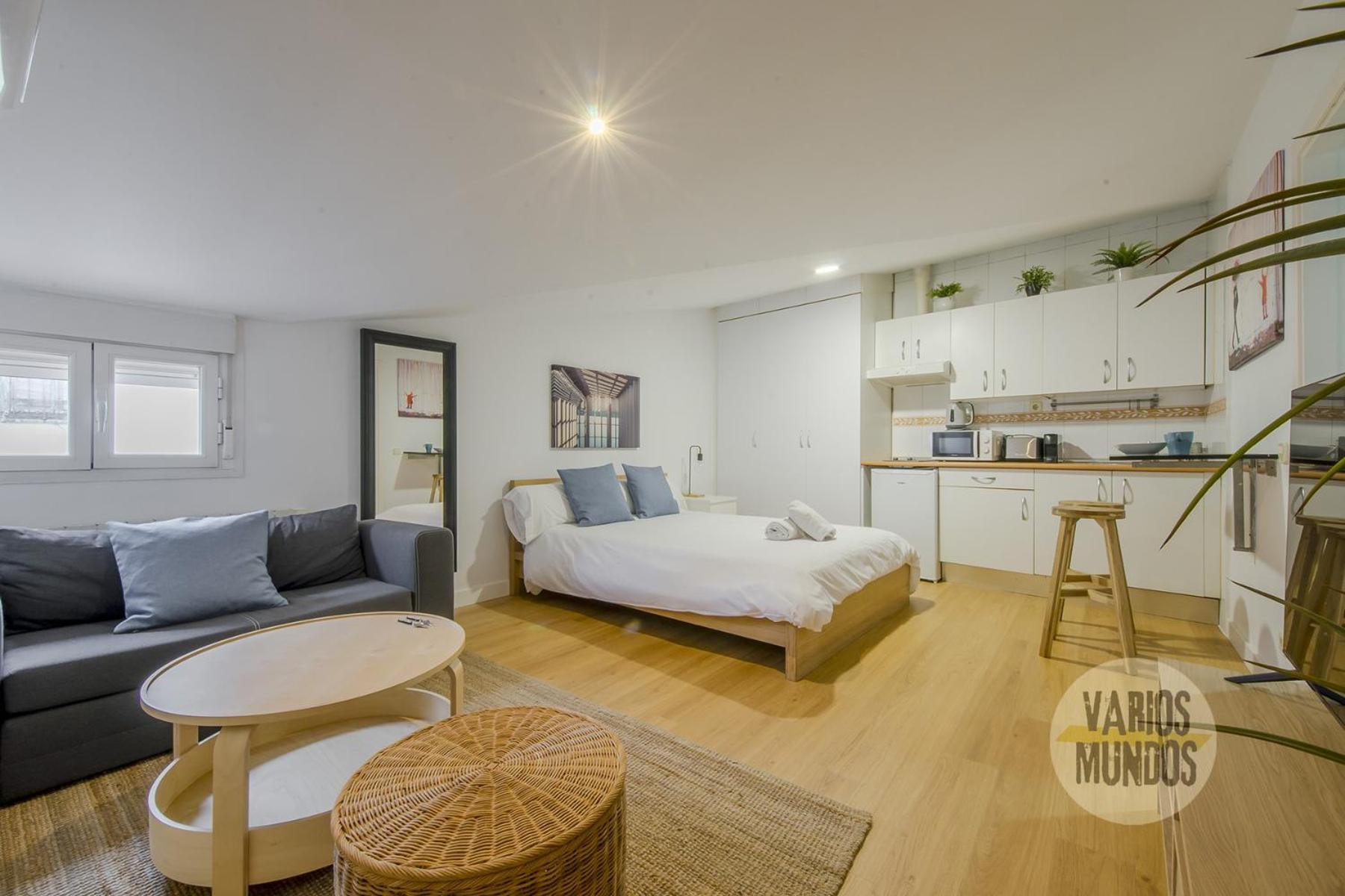 Apartamento Oasis 3 En Sol, Descubre Concepcion Jeronima Madri